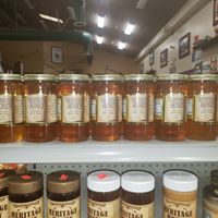 Stagecoach Station logo