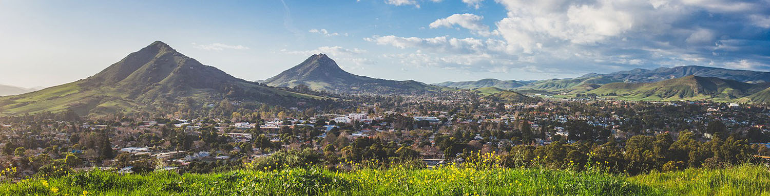 Source Real Estate logo