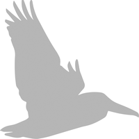 Pacific View Academy logo