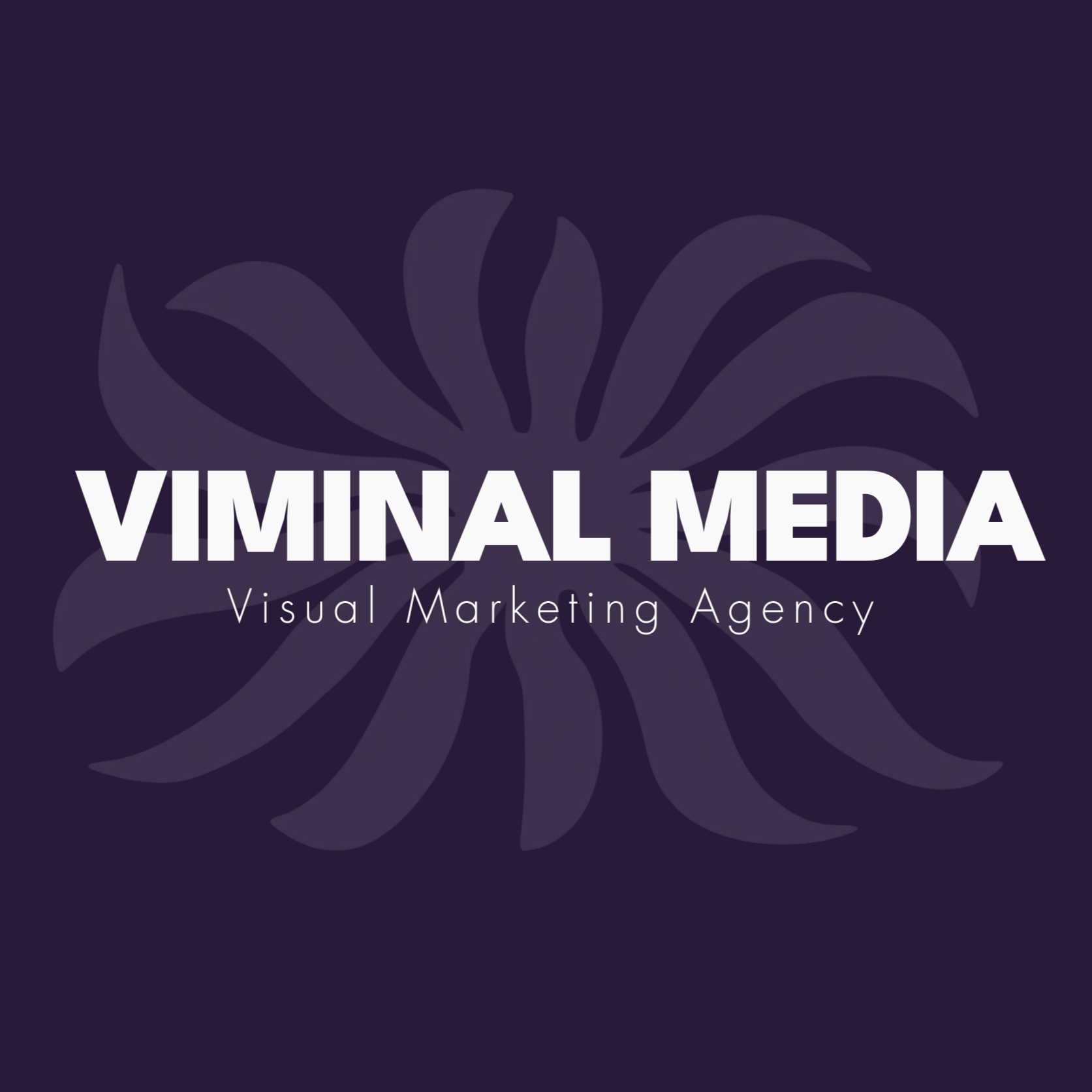 Viminal Media logo