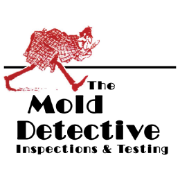 Mold Detective The logo