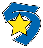 Five Star Rain Gutters Inc logo
