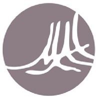 Montecito Aesthetic Institute logo