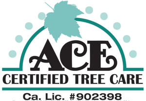 Ace Certified Tree Service logo