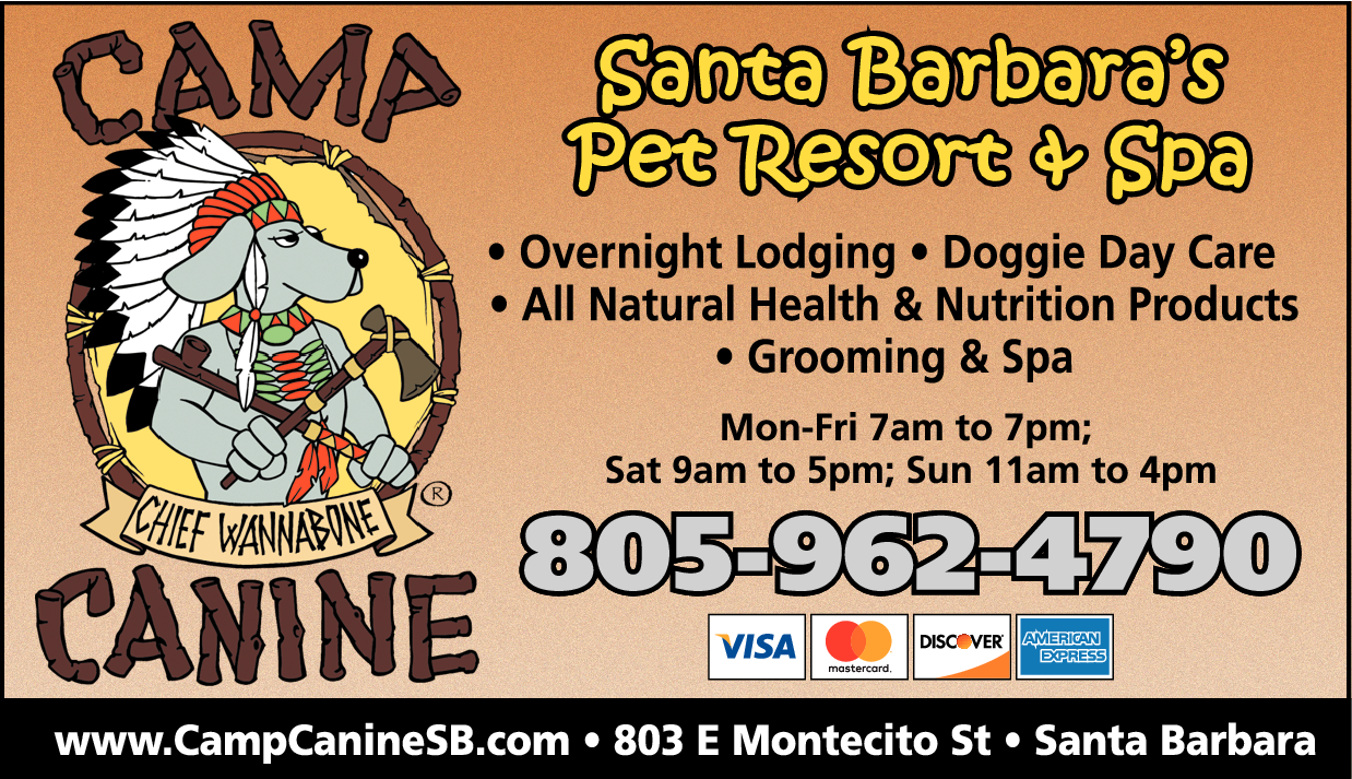 Print Ad of Camp Canine