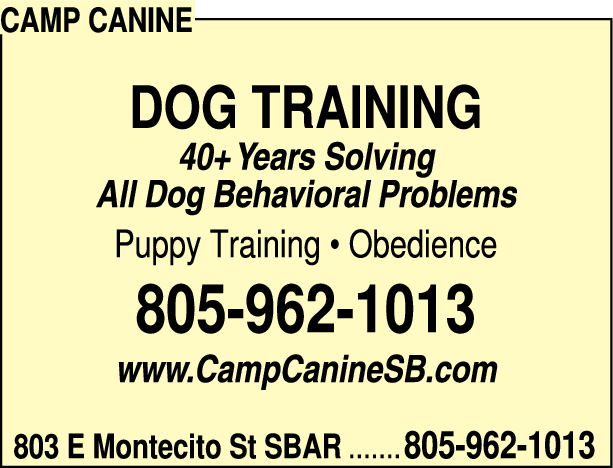Print Ad of Camp Canine