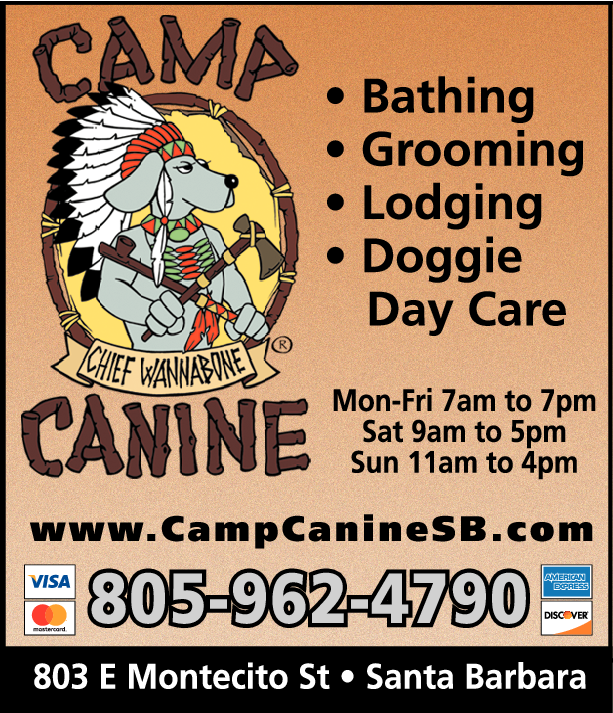 Print Ad of Camp Canine