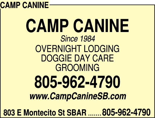 Print Ad of Camp Canine