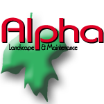 Alpha Landscape & Maintenance logo