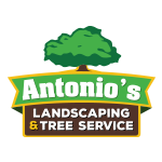 Antonio's Landscaping & Tree Service logo