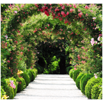Deborah Walter Landscape Design logo